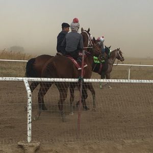 Meet your Posher, Jesus